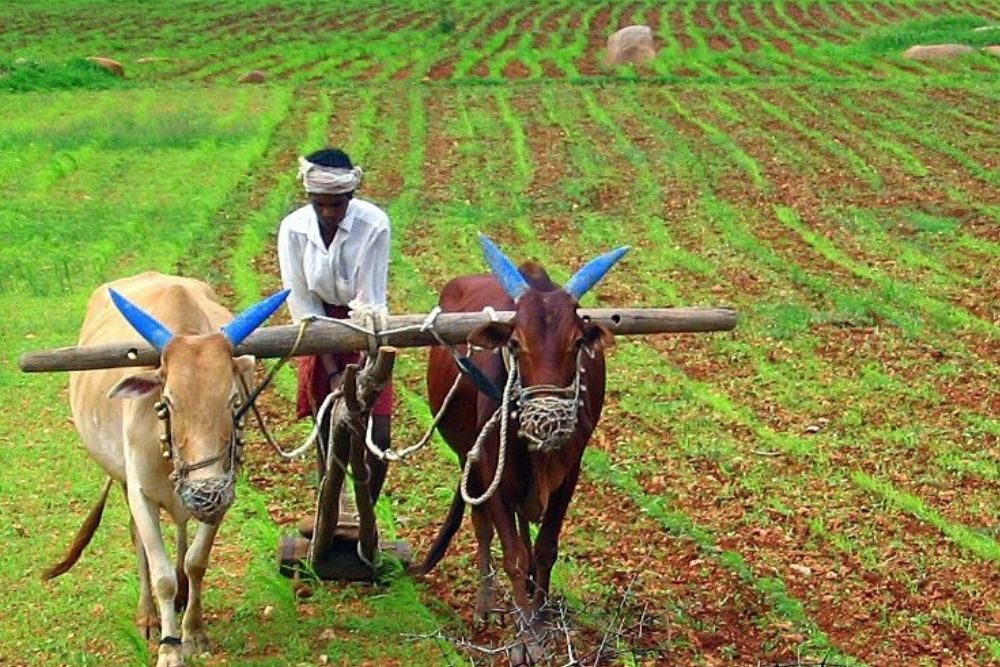 Indian Farming